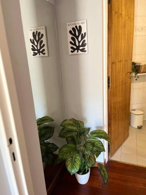 Apartamento En El Centro *
